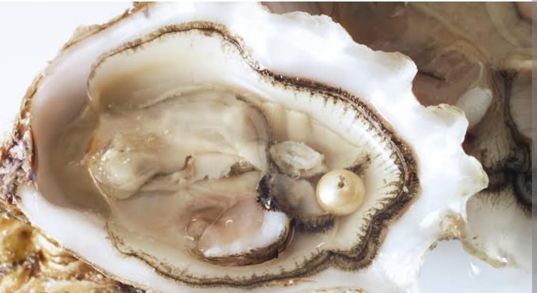 Pearls: Nature's Elegance