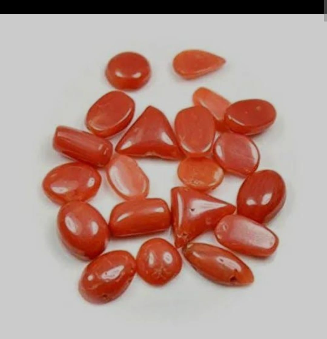 Red Coral: Ocean's Vibrant Gift