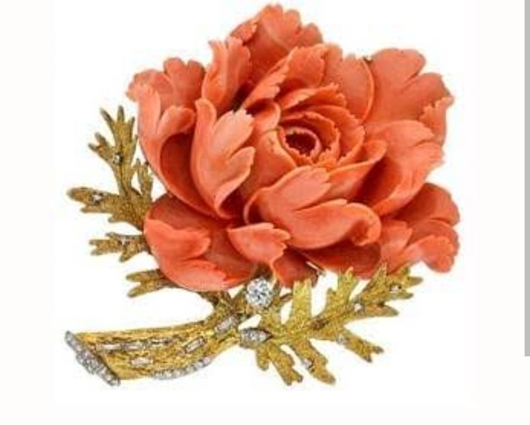 Red Coral: Ocean's Vibrant Gift