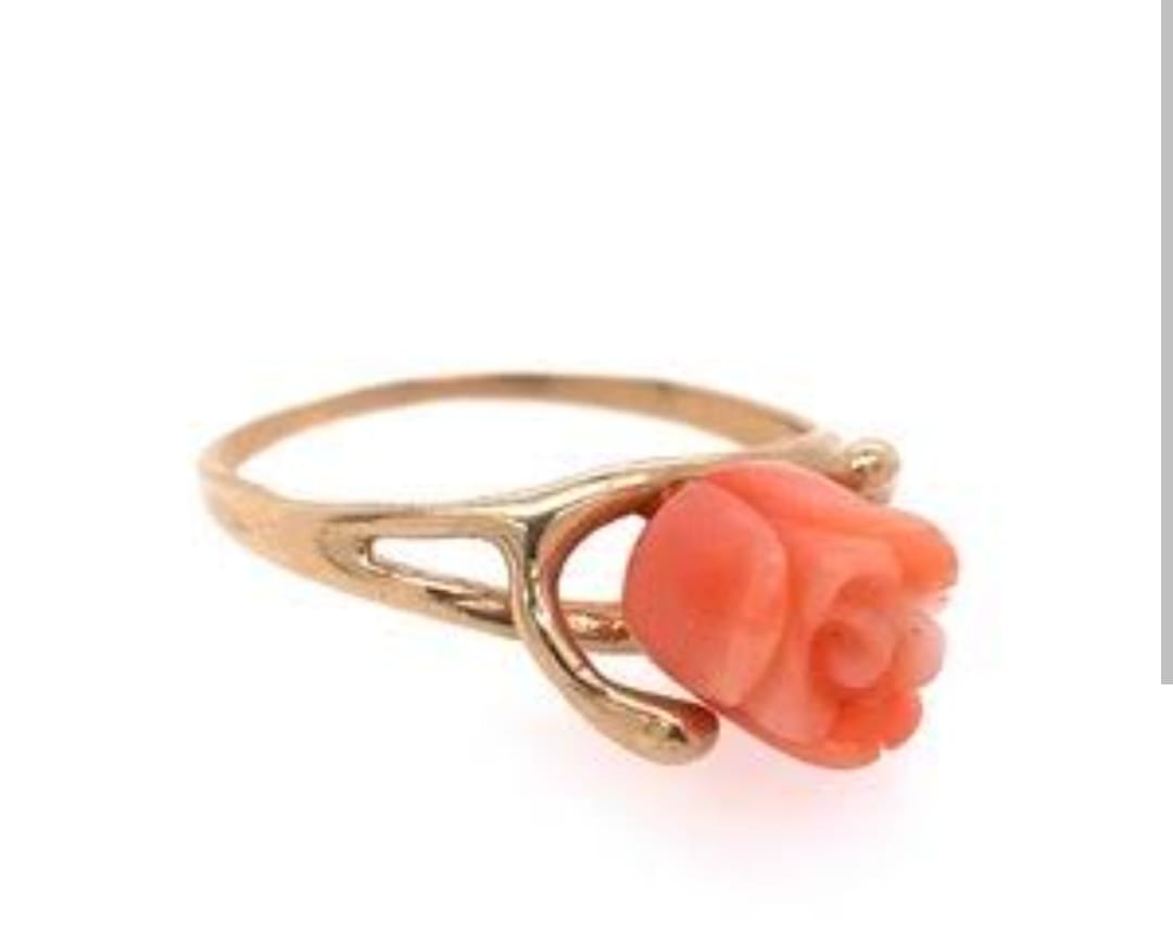 Red Coral: Ocean's Vibrant Gift