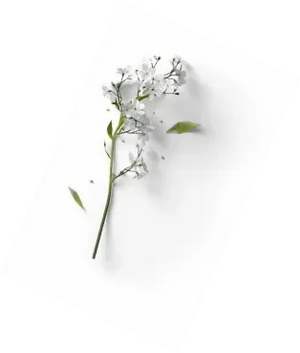 Flower decoration